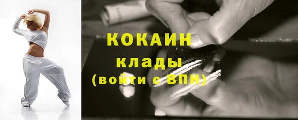 мдпв Каменка