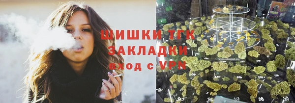 мдпв Каменка