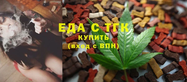 мдпв Каменка