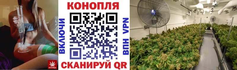 Купить  Магас  Каннабис конопля 